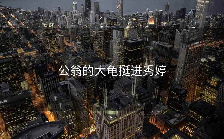 公翁的大龟挺进秀婷