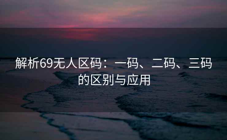 解析69无人区码：一码、二码、三码的区别与应用