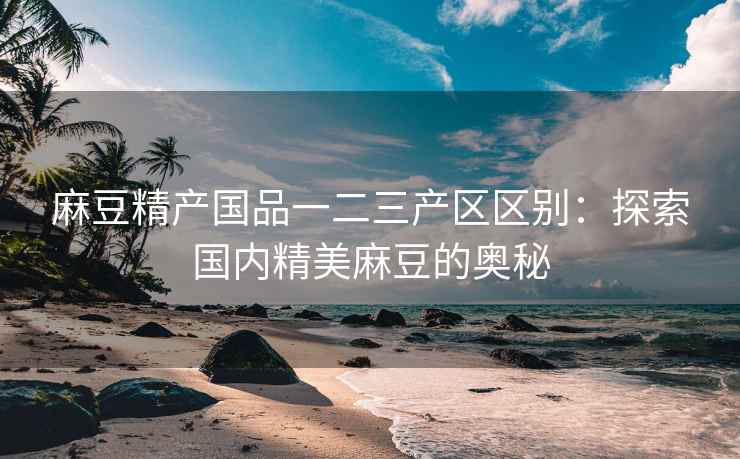 麻豆精产国品一二三产区区别：探索国内精美麻豆的奥秘