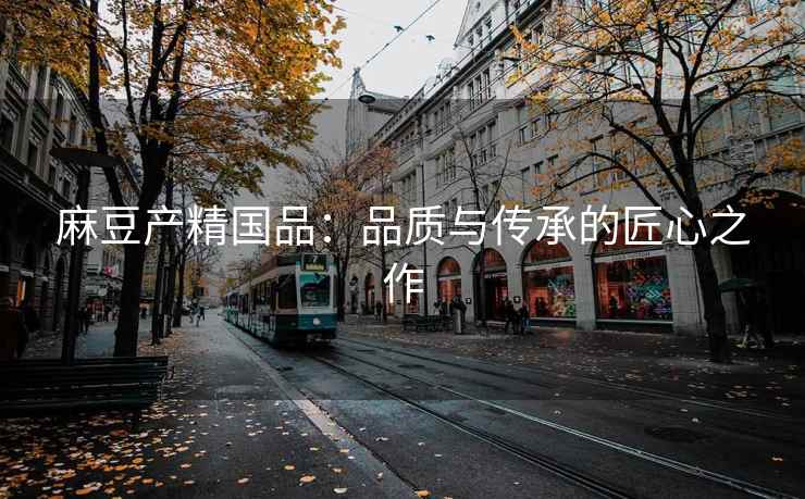 麻豆产精国品：品质与传承的匠心之作